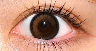 シークレットキャンディーマジックワンデー バターブラウン 20枚入り 装用画像