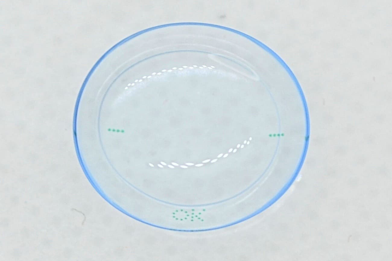 デイリーズアクア コンフォートプラス 乱視用 (近視)のガイドマーク