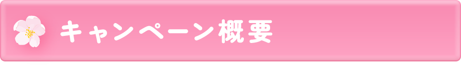キャンペーン概要