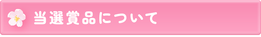 当選賞品について
